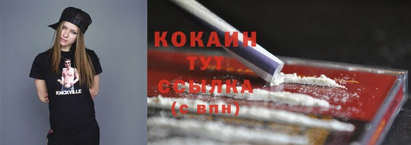 дмт Гусев