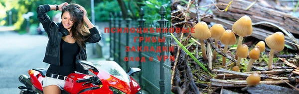 дмт Гусев