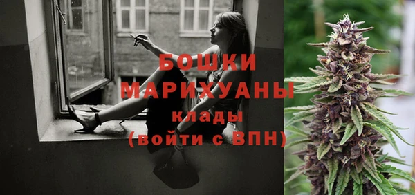 кокс Гусиноозёрск