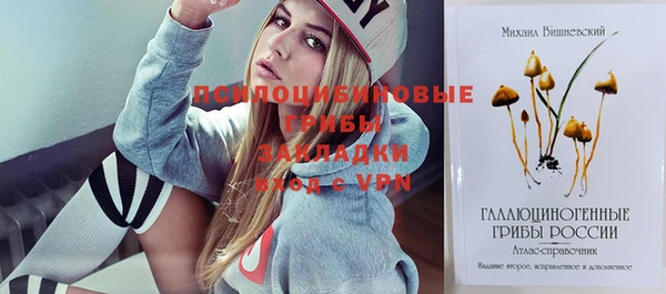 mix Горняк