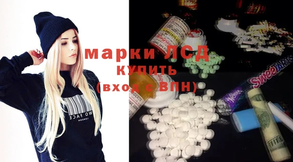 дмт Гусев