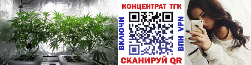 Дистиллят ТГК гашишное масло  Купить закладки  Ковылкино 